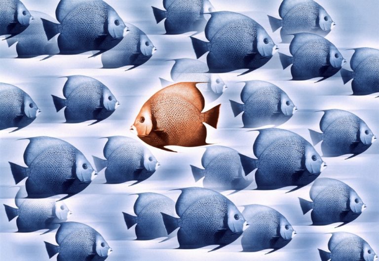 Different Is Better Than Better